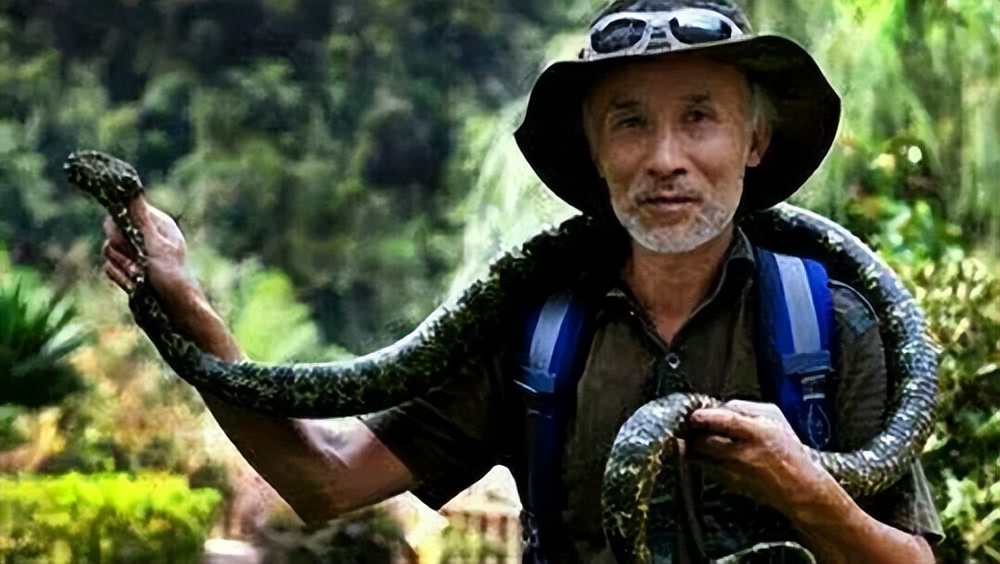 为什么打蛇要打七寸,打蛇七寸的七寸是指哪里