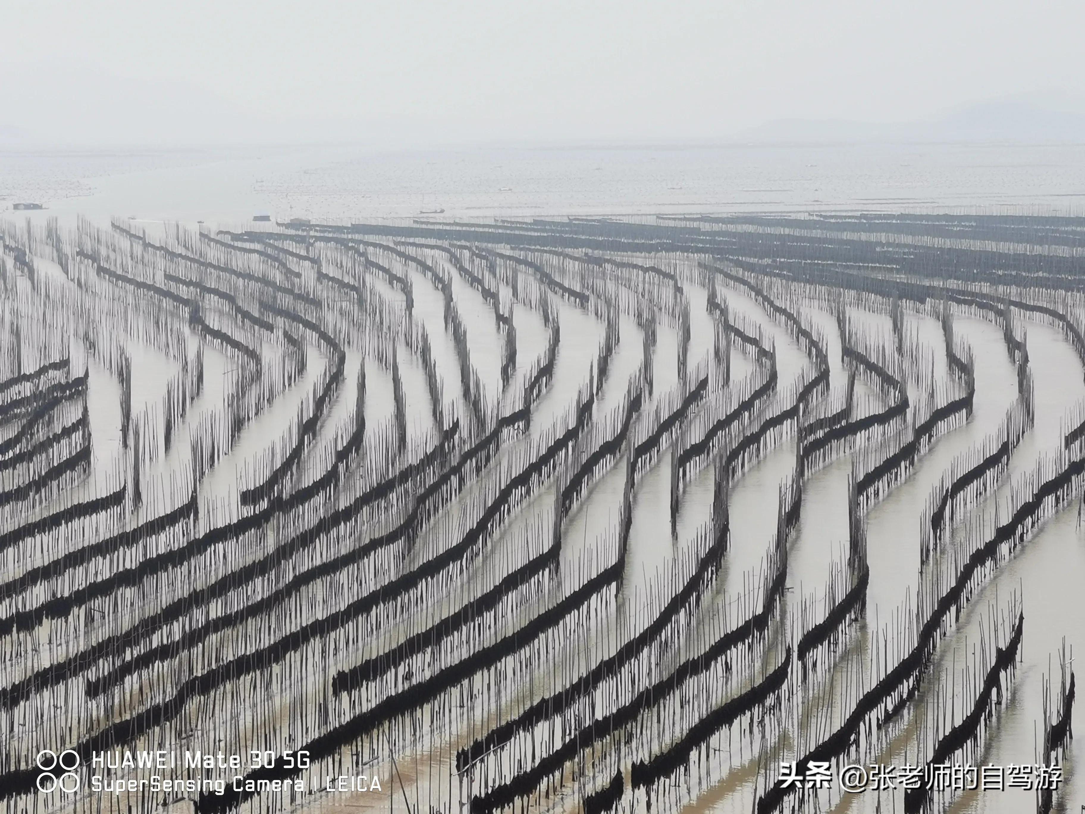 自驾环游中国最佳路线图费用,盐城到海南自驾旅行攻略