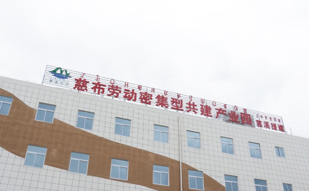 东西部协作助力乡村振兴,东西部地区协同发展项目