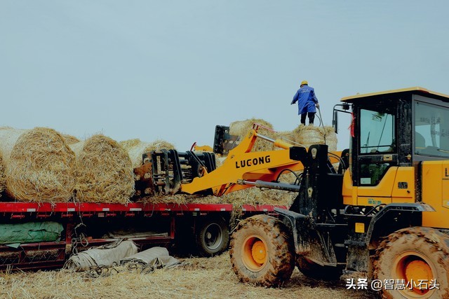 农村走集体化道路,农村合作社致富新道路