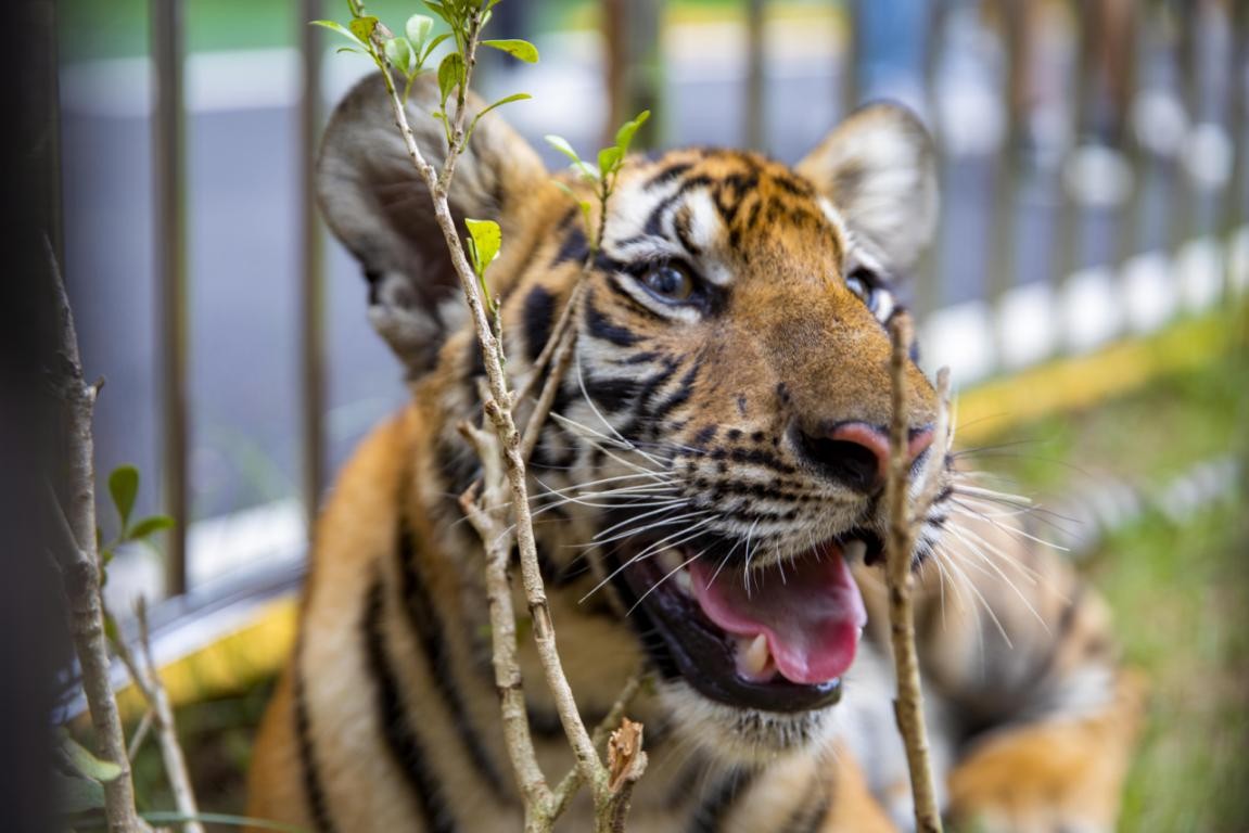 探秘韶关,魅力韶关之旅