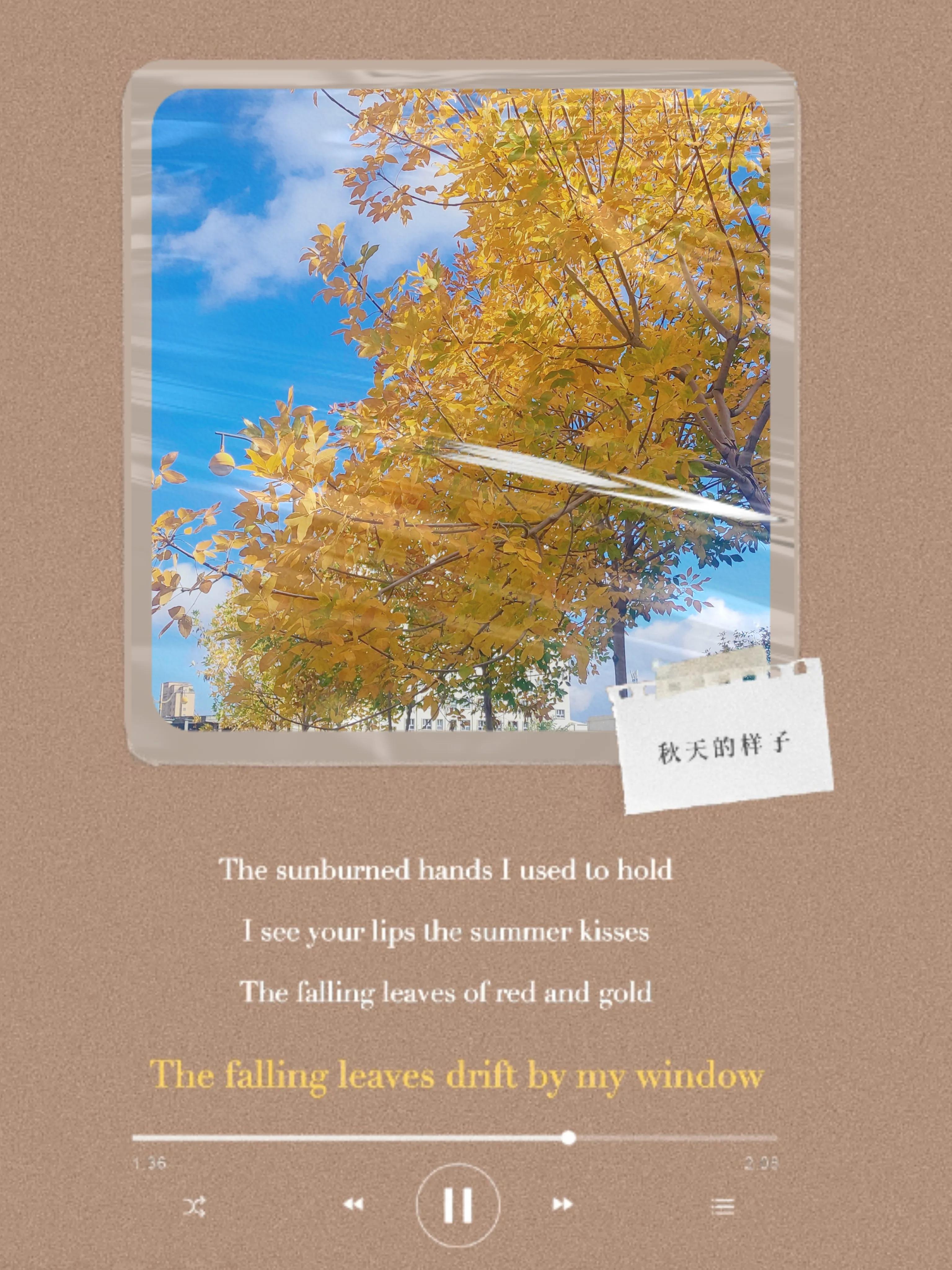 疫情之下小区秋色荡漾,疫情之下绣湖路