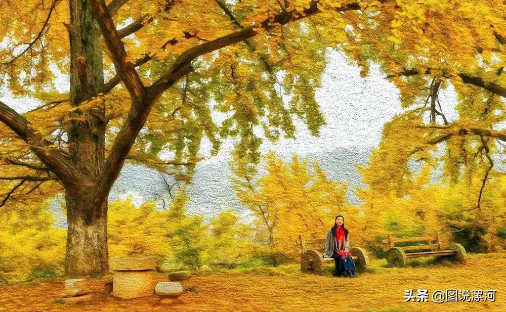 获奖摄影比赛作品,摄影比赛获奖名单公示