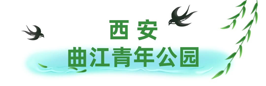 骑行打卡景点,湿地骑行观风景