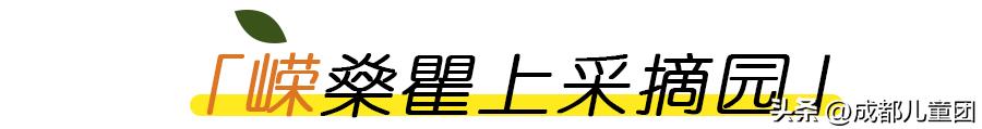 成都温江橘子采摘园推荐10月份,江苏附近橘子采摘园有哪些地方