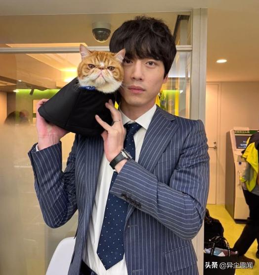 难道有血缘关系？日网票选「日韩帅哥气质相似度」排行TOP10