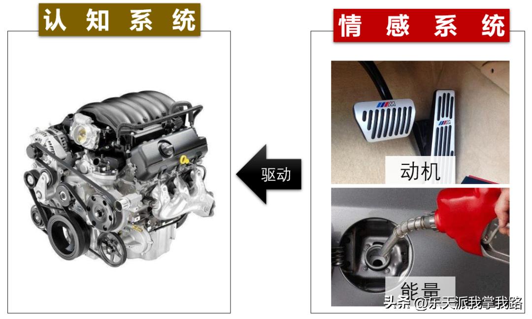 教师为什么要幽默风趣,幽默的教师怎么培养自己