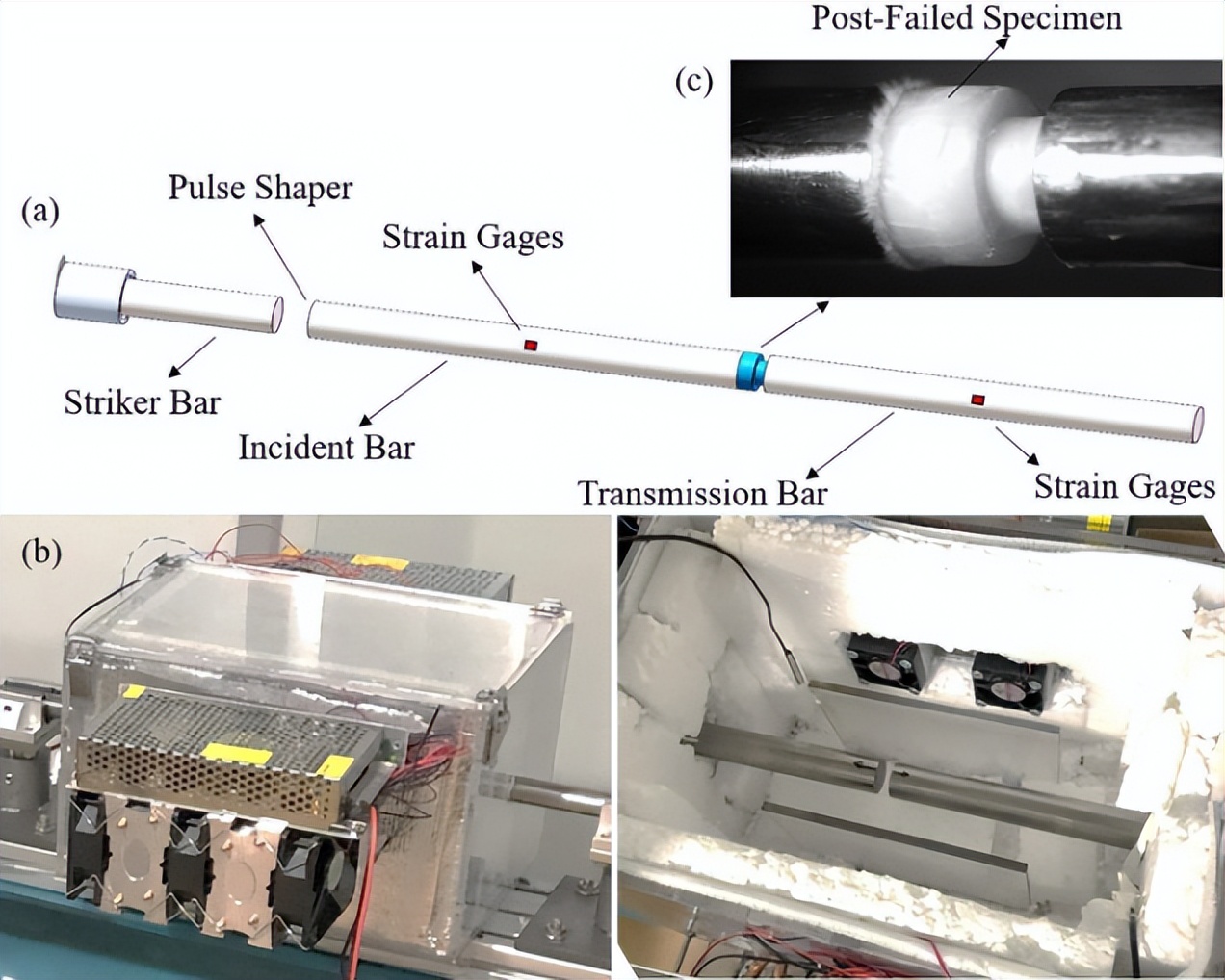 复旦团队发表研究成果,复旦大学最新科研消息