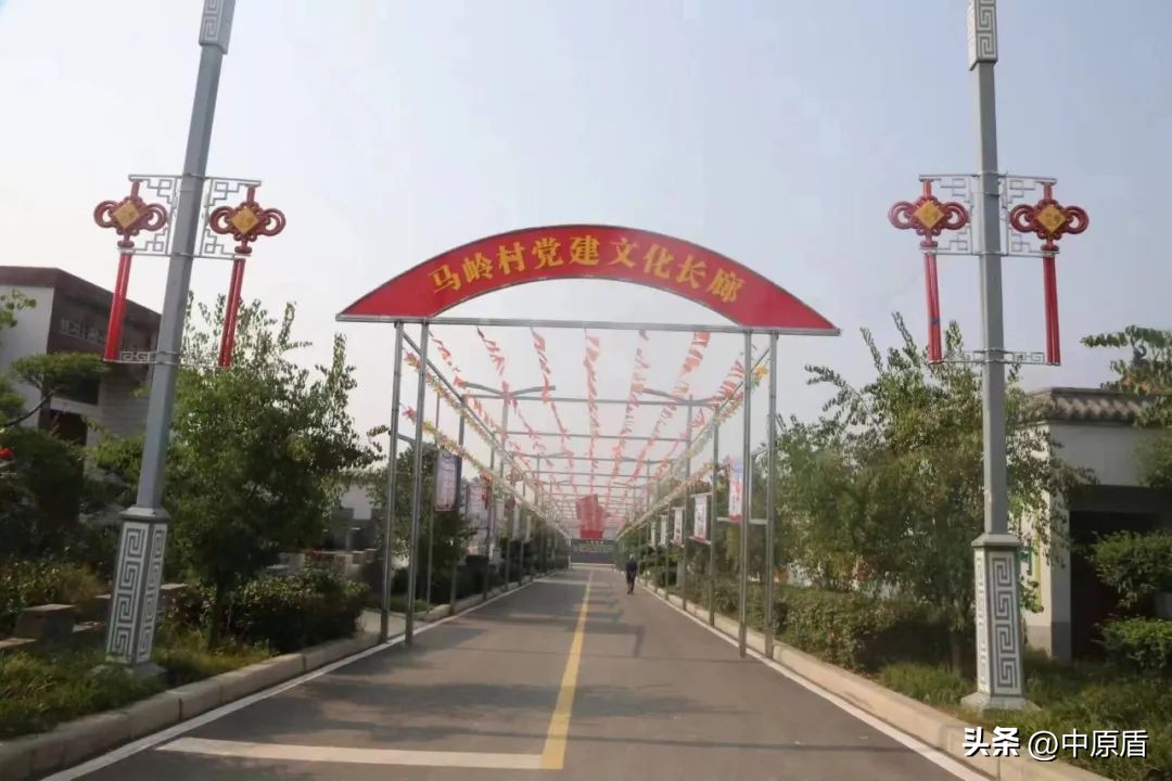 【谱写平安河南更加出彩新篇章】马岭村无愧十里八村的“门面担当”