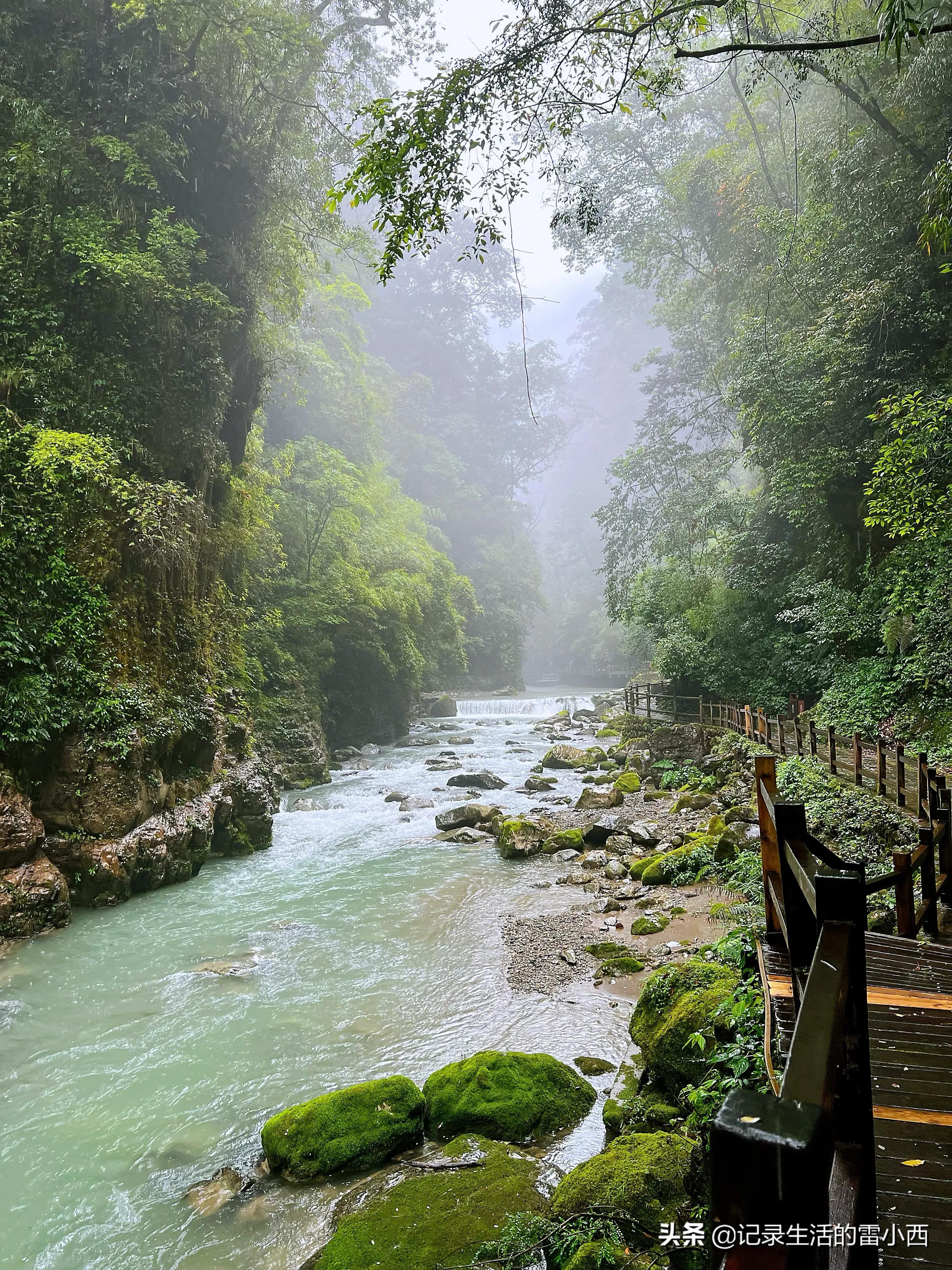 重庆到黑山谷景区怎么坐车,重庆黑山谷自驾游一天