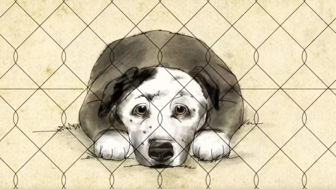 我很笨做什么都容易露馅,我很笨什么事情都做不好