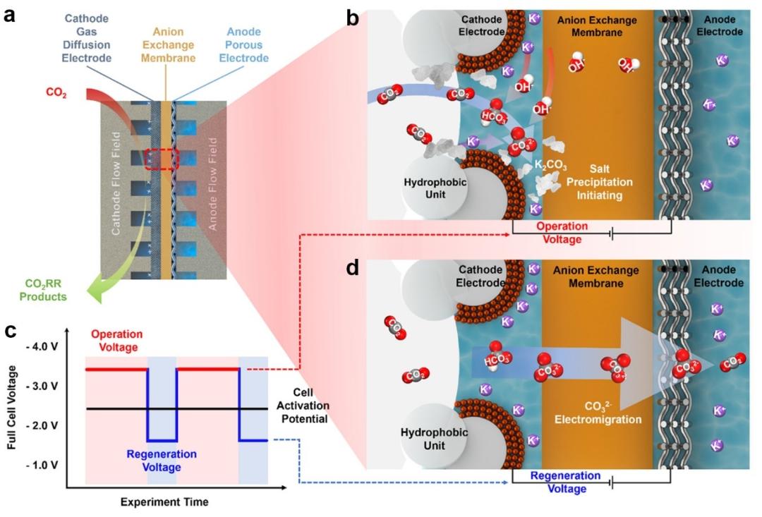 锂离子电池导电材料的研究与发展,锂离子电池正负极材料的相关特性