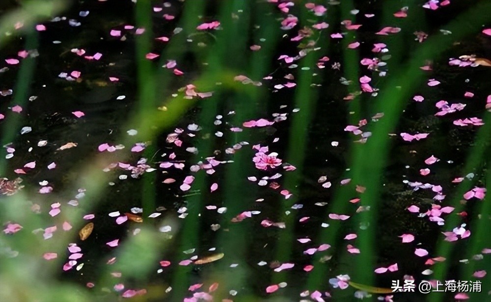 天气早知道丨冷冷冷！“冬天”限时返场！