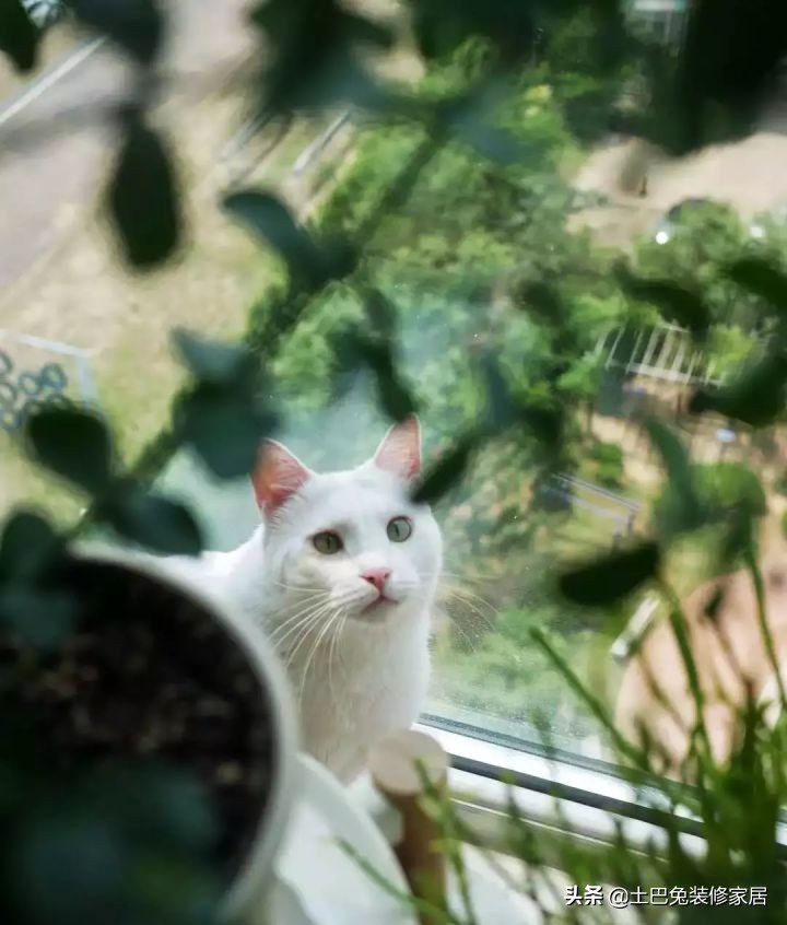 适合小夫妻住的两室一厅,90后小夫妻住30平米的房间吃什么