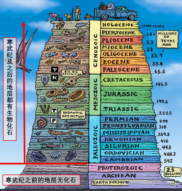 章鱼到底是地球生物还是外星生物,章鱼是外星生物竟然有三颗心脏
