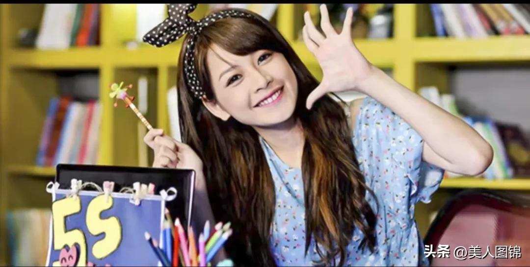 越南芝芙,芝芙越南