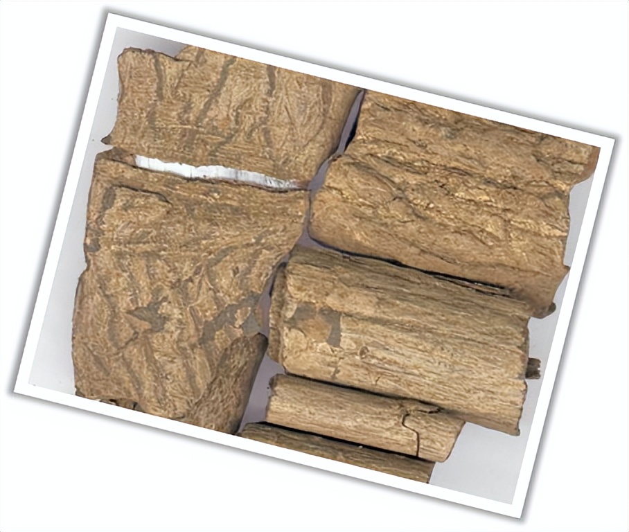 关于贵州省遵义的美食,贵州遵义有啥特产好吃