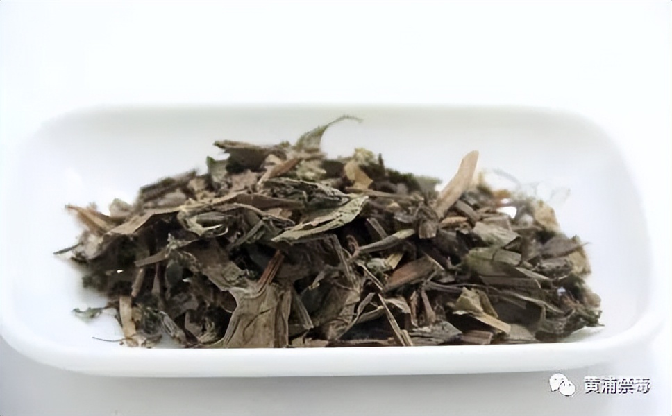 支气管炎养生,支气管炎健康指导