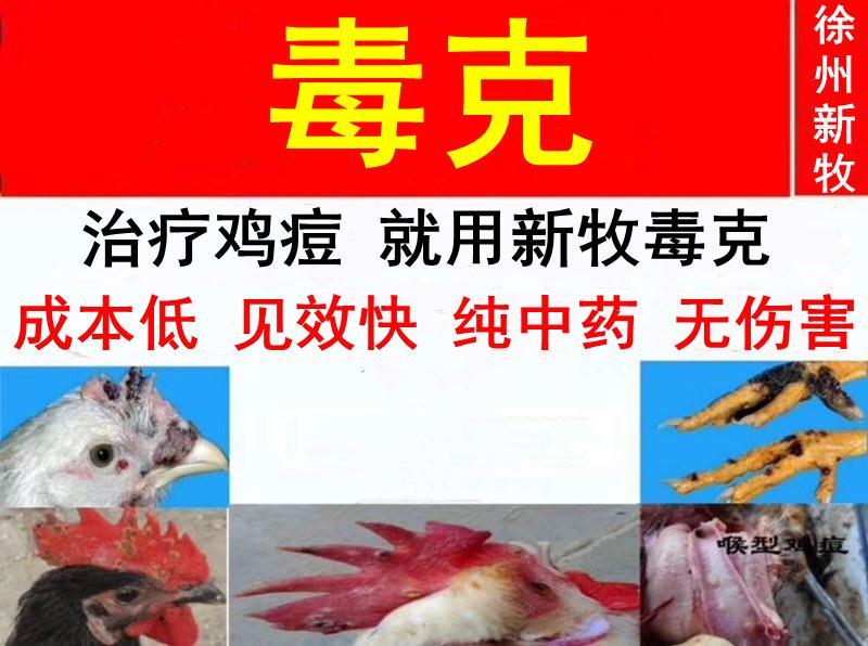 鸡得了皮肤型鸡痘怎么办,鸡长痘痘是什么原因