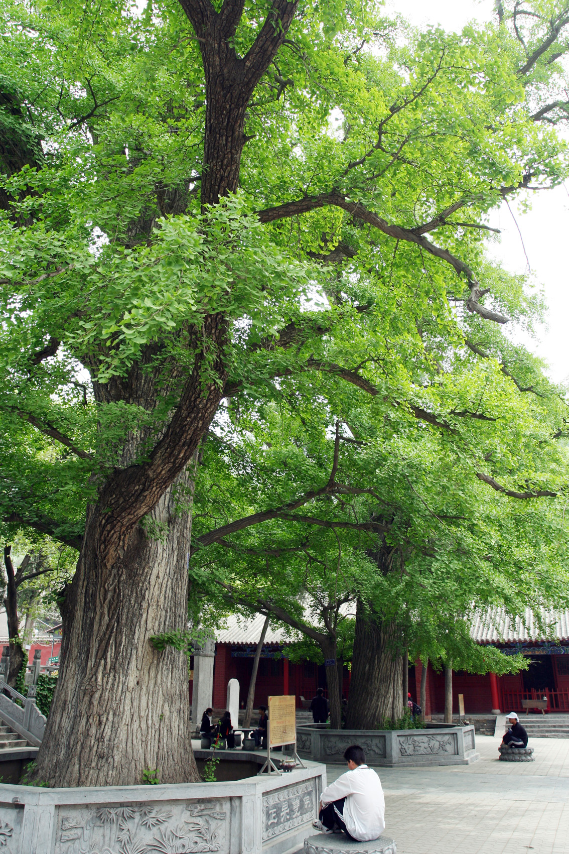 郑州登封天地之中历史建筑简介,登封的历史建筑有哪些