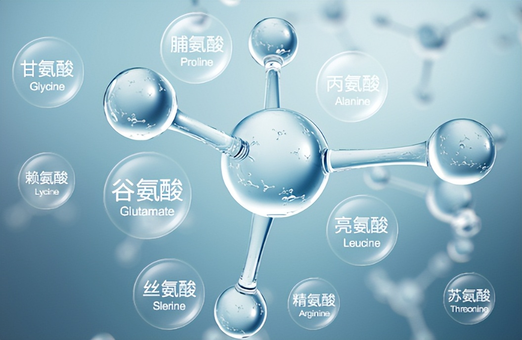 十大沐浴露排行榜,沐浴露测评真实推荐以油养肤