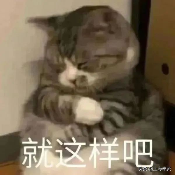 宜良露营的好去处网红打卡,五台山附近网红露营打卡地