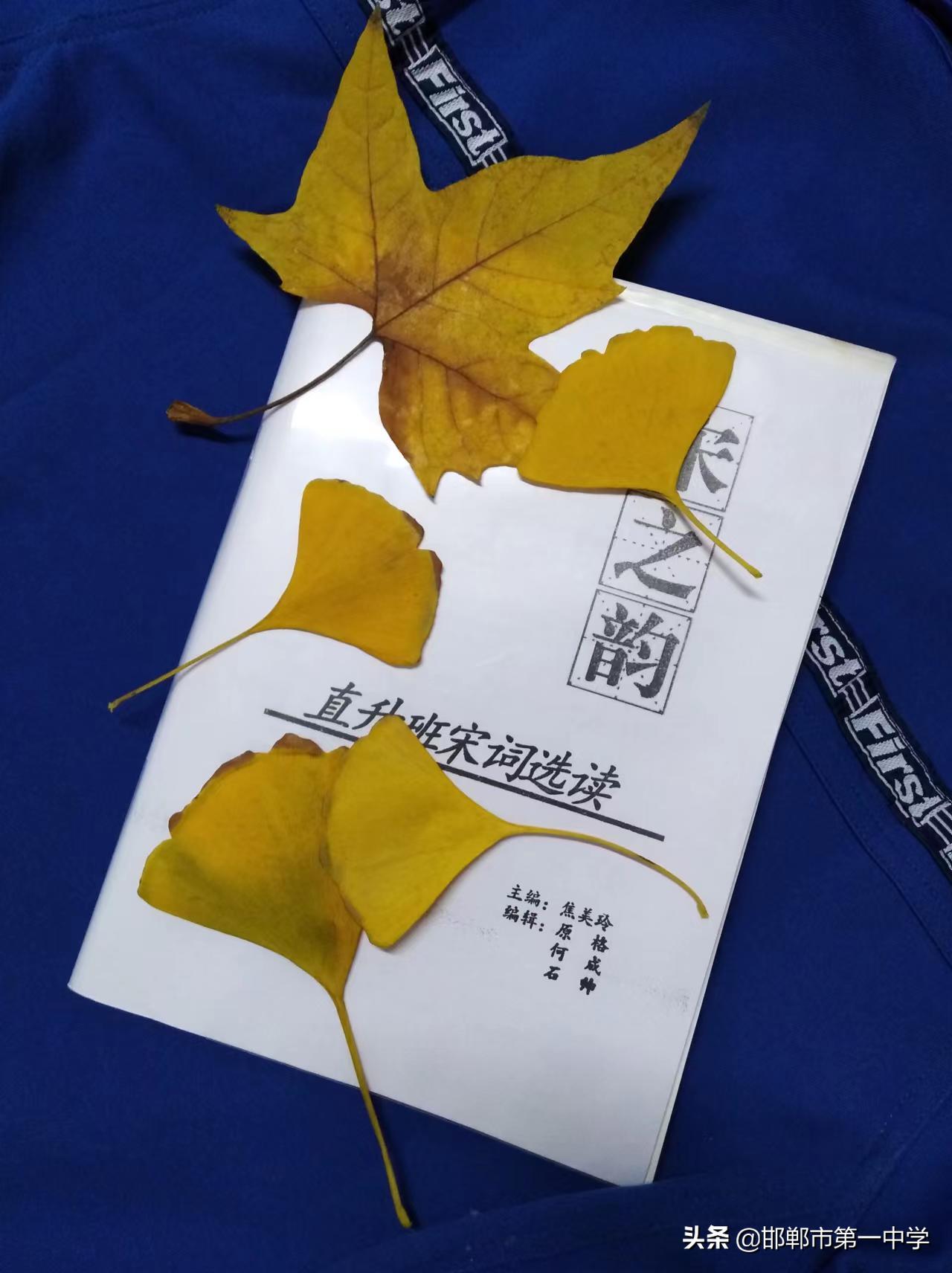 亲爱的母校完整视频,亲爱的母校完整版