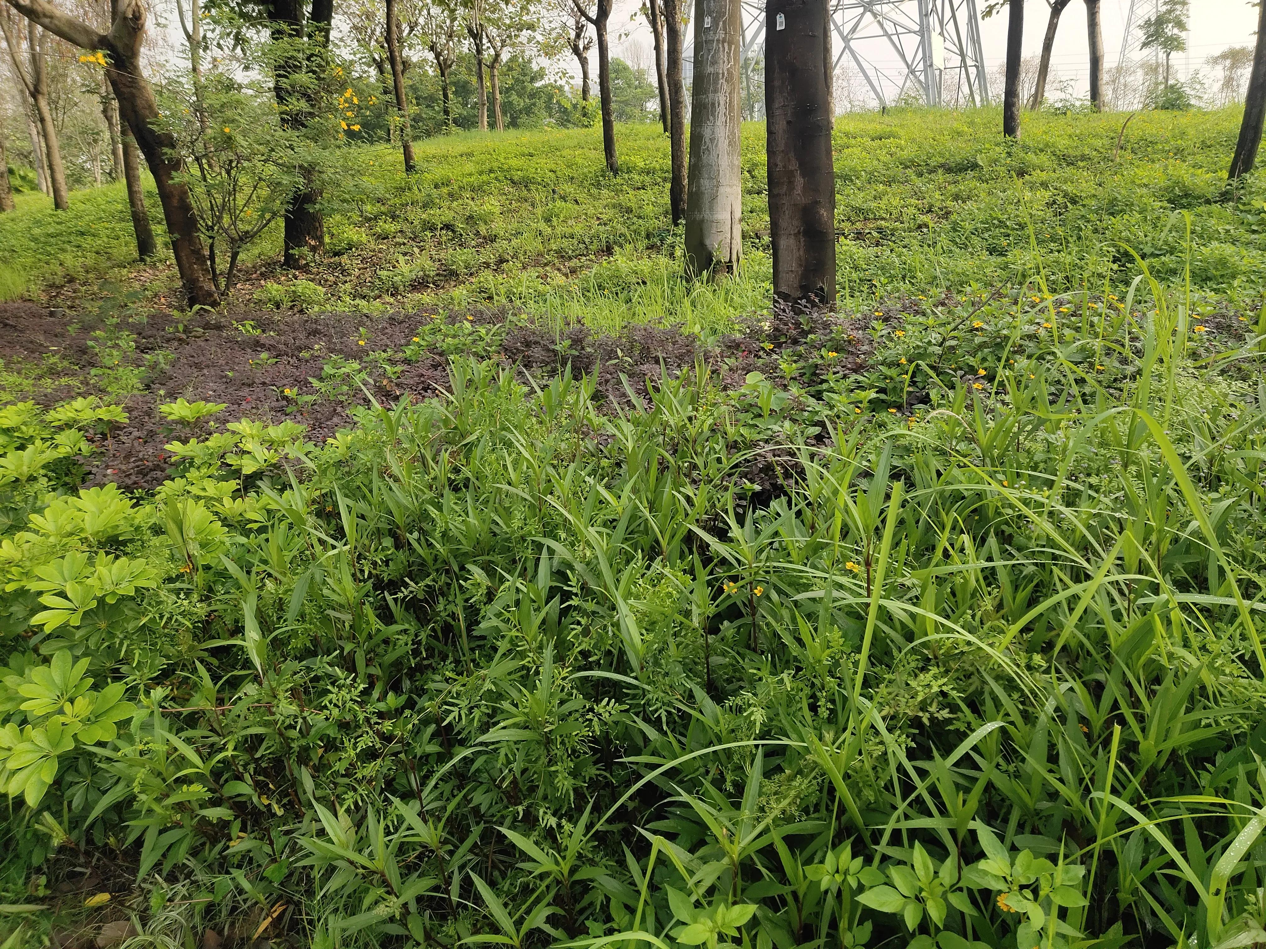 给国外客户报错价格怎么办,外贸发错型号给客户怎么办