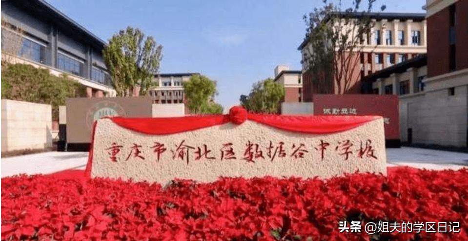 重庆十大宝藏学区推荐——渝北区