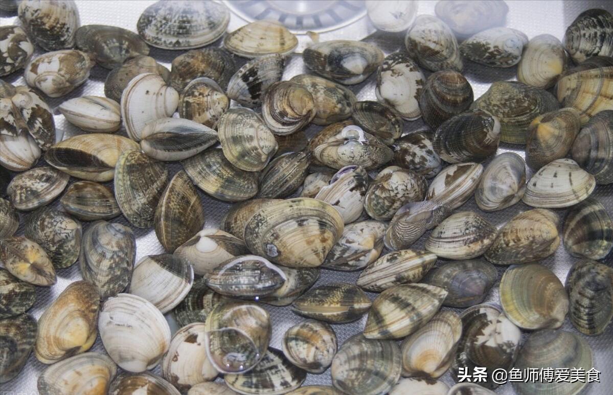 端午节什么海鲜最便宜,端午节吃什么海鲜最好