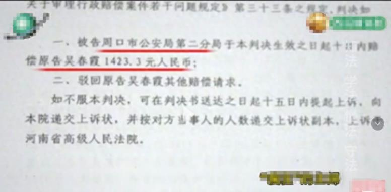 被强制抓进精神病院怎么打官司,河南农妇被关精神病院