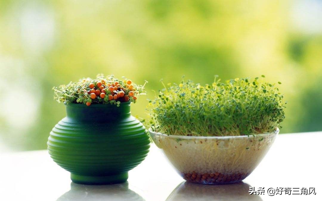 人生总是在浮躁中度过,浮躁患得患失怎么办