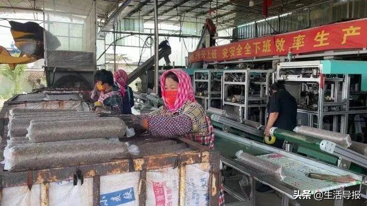 美好生活十年,美好生活最新版