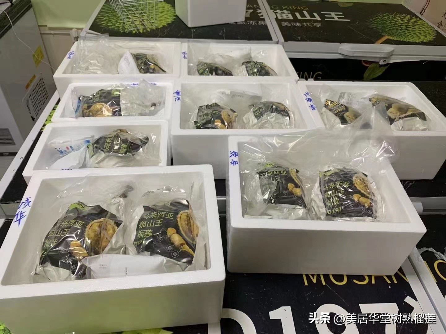 马来西亚猫山王榴莲d101和d197,猫山王榴莲d197和d101的区别