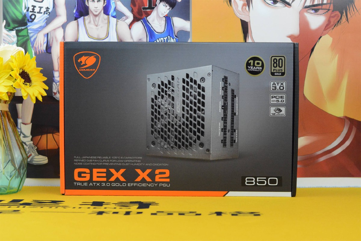 质保10年、金牌、全模组，真ATX3.0、原生PCIE5.0，骨伽GEXX2入手