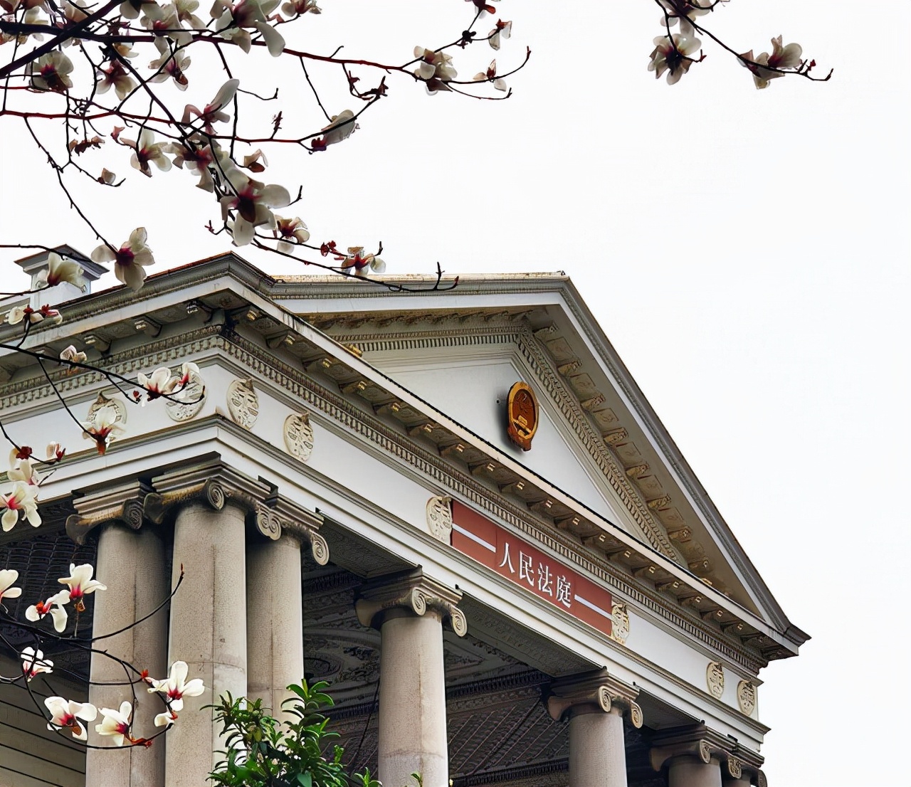 宝马撞人案罪犯执行死刑,宝马撞人致死二审被告被判死刑