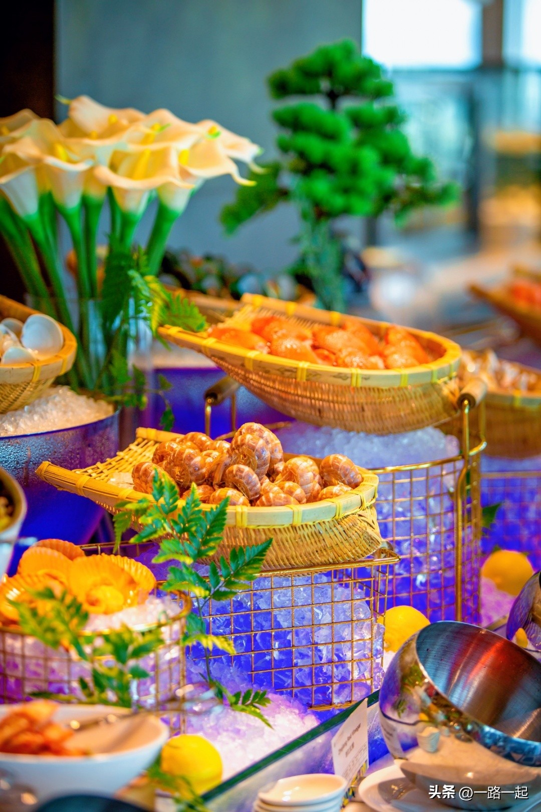 深圳深铁铂尔曼酒店宴会厅,深圳深铁铂尔曼酒店是几星级