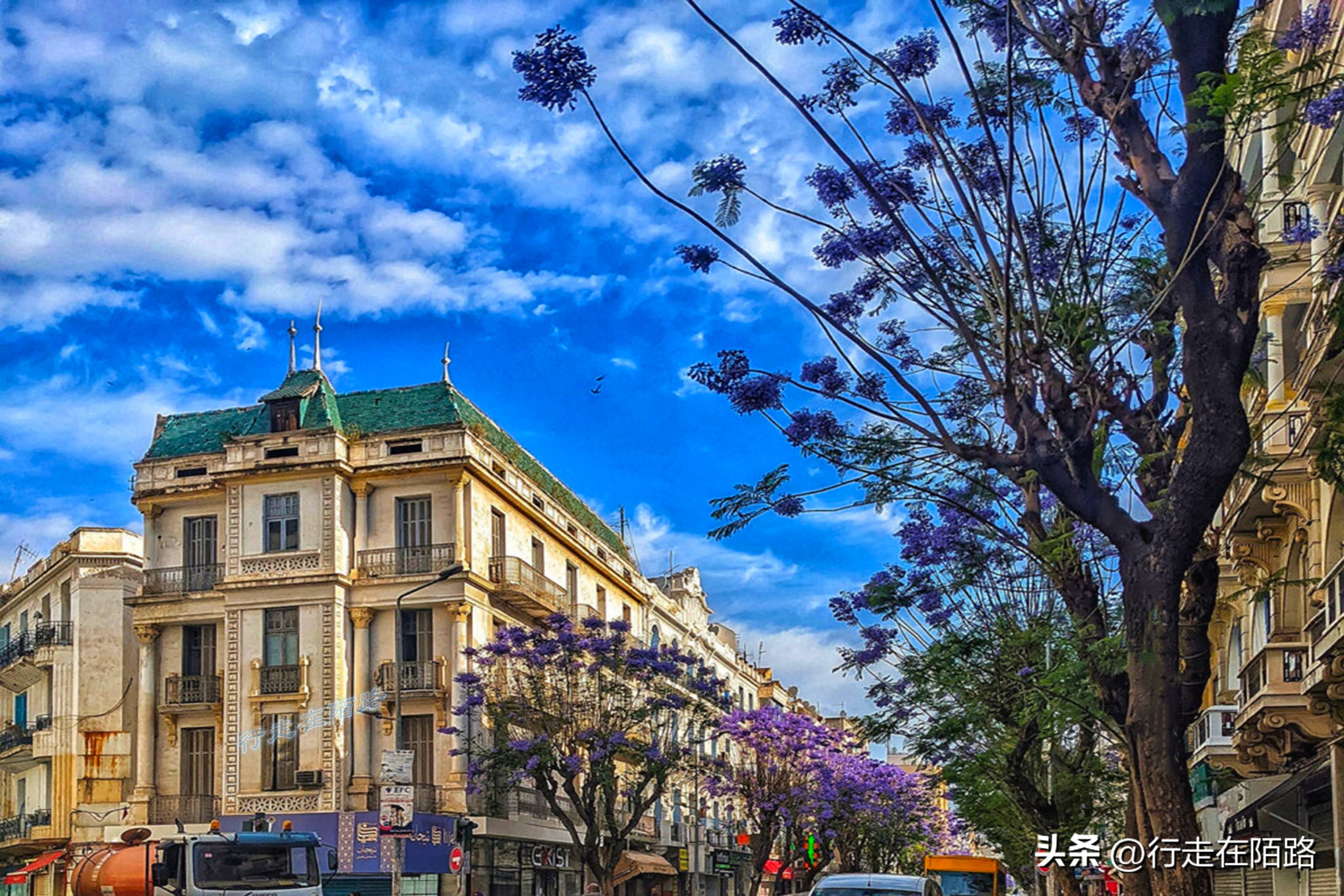 非洲突尼斯：不太一样的穆斯林国家，面积小人口少物价低