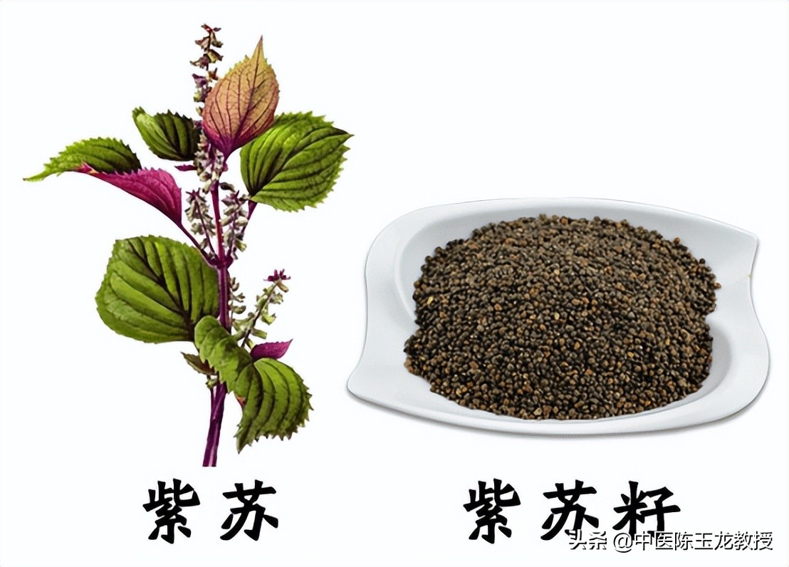 夏季头晕腹泻恶心怎么调理,头晕恶心呕吐乏力拉肚子怎么配药