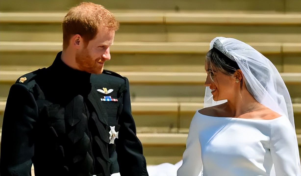 梅根哈里赚钱,梅根哈里靠什么赚钱