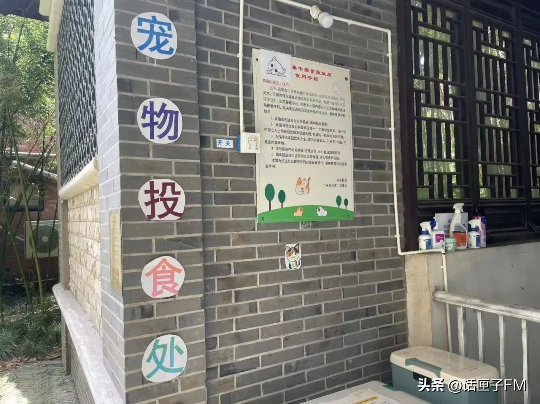 智能猫屋全自动,流浪猫管理猫屋