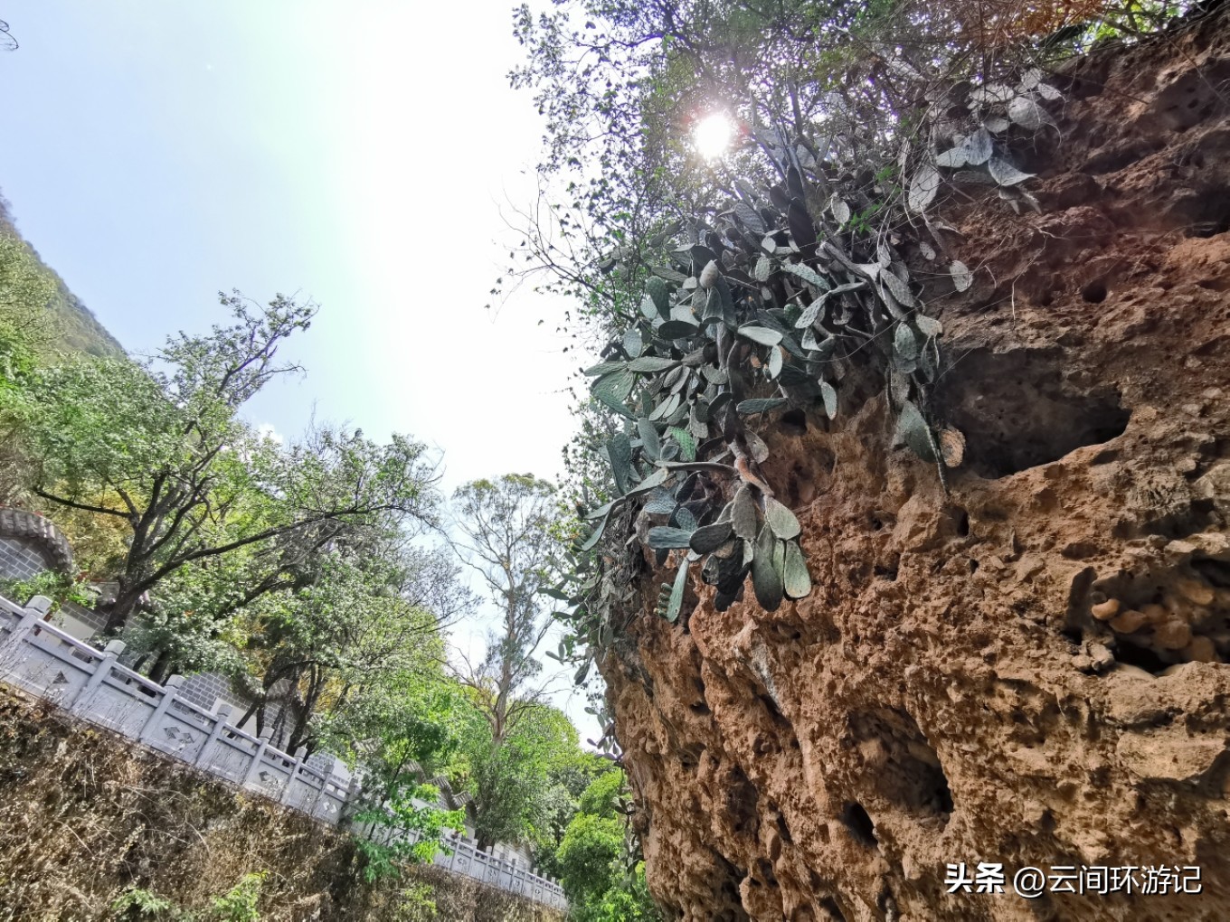 玉溪澄江抚仙湖游玩攻略,玉溪澄江抚仙湖推荐吗