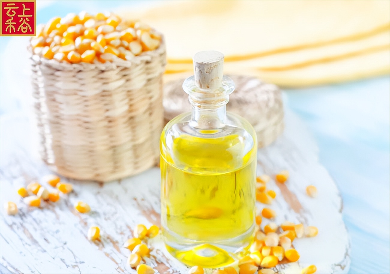 云上禾谷：市面上有这么多种食用油，哪种才是更健康的选择？