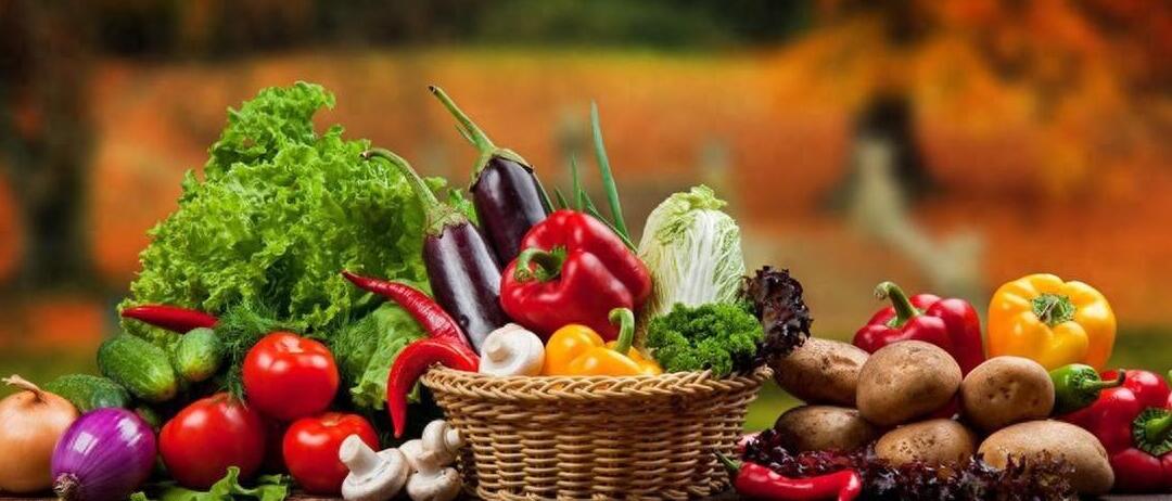 孩子不喜欢吃蔬菜补充点什么,三岁孩子不喜欢吃蔬菜