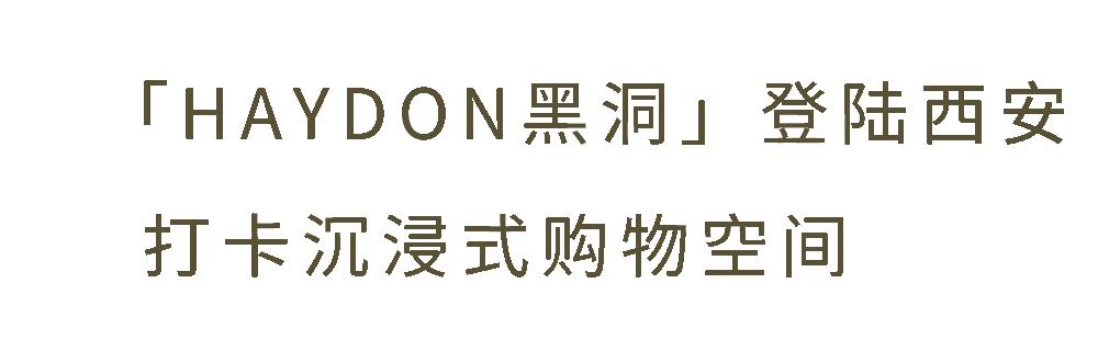 黑洞haydon西安万象城店开张了吗,西安haydon集合店