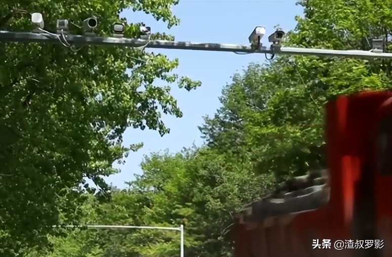 湖北母女被抛尸案,林场杀人案背后的故事