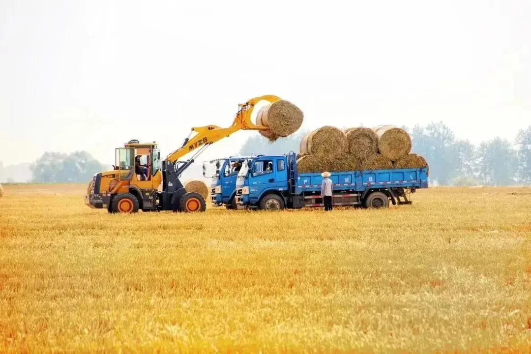 悬念揭晓在即,悬念揭晓视频