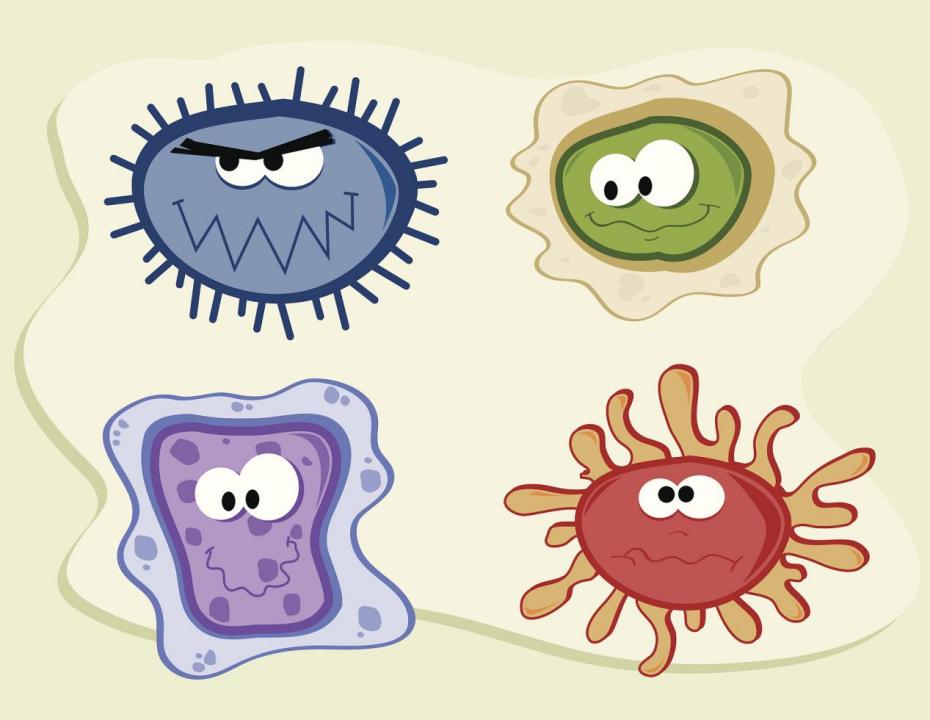 谷丙转氨酶高和谷草转氨酶的区别,谷丙转氨酶与谷草转氨酶有何区别