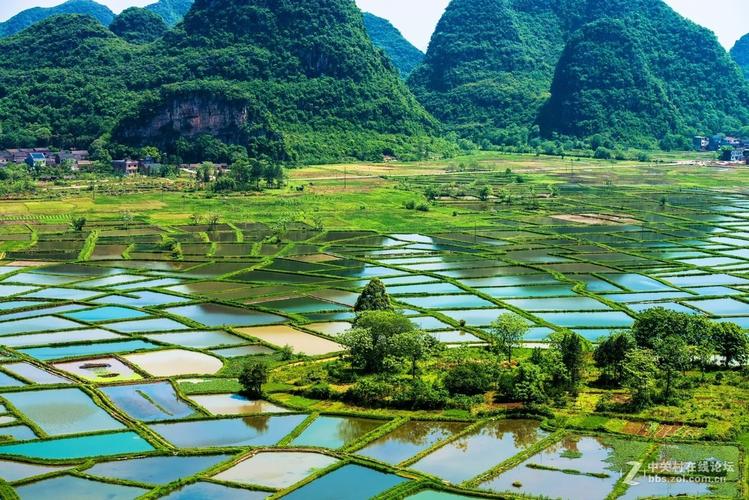 最新农村种田类小说,乡村乡土类种田文小说推荐