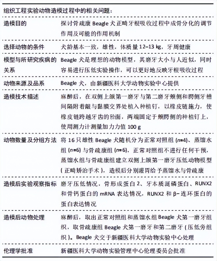 *疆新**医科大学第一附属医院口腔医院分享：骨疏康干预犬上颌第一磨牙压低模型的实验研究